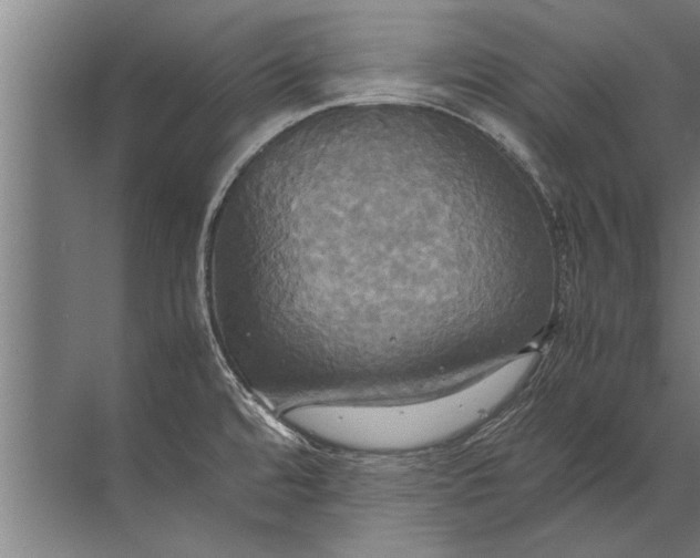 X0000072521480200607290145