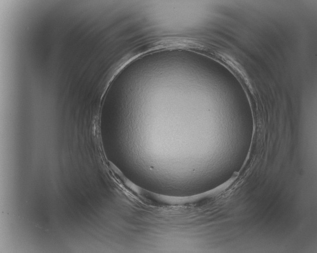 X0000072521481200607290145