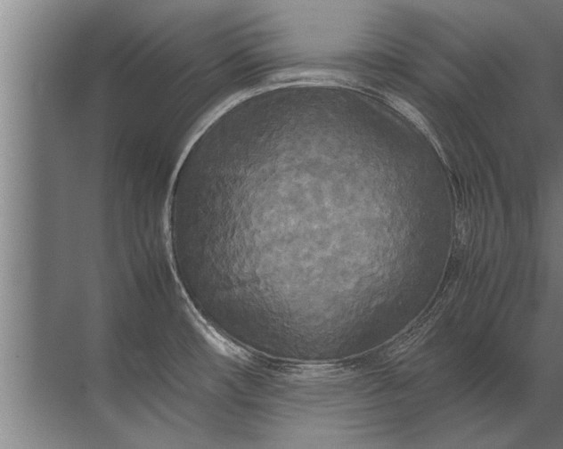 X0000072521482200607290145