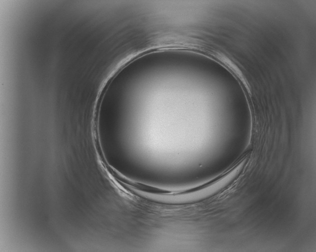 X0000072521485200607290145