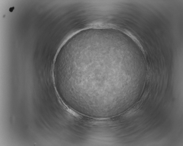 X0000072521486200607290145