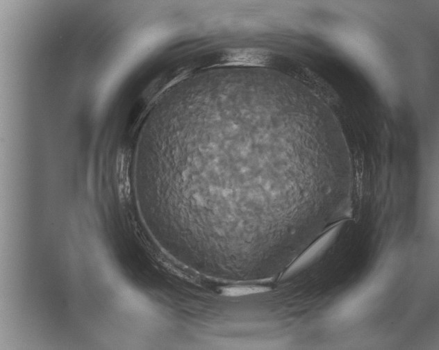 X0000072521487200607290145