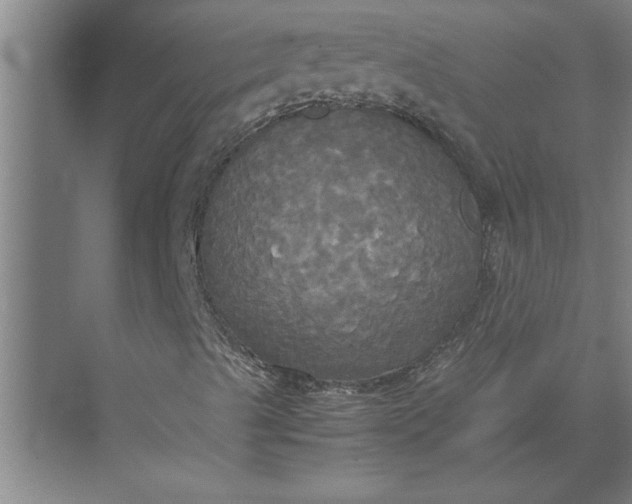 X0000072521489200607290144