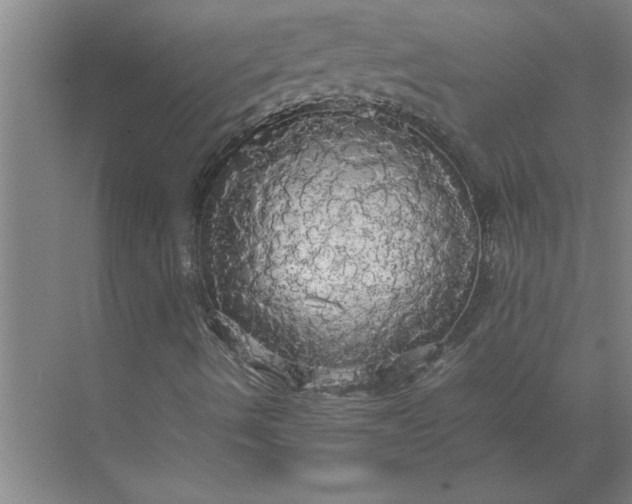 X0000072521490200607290144