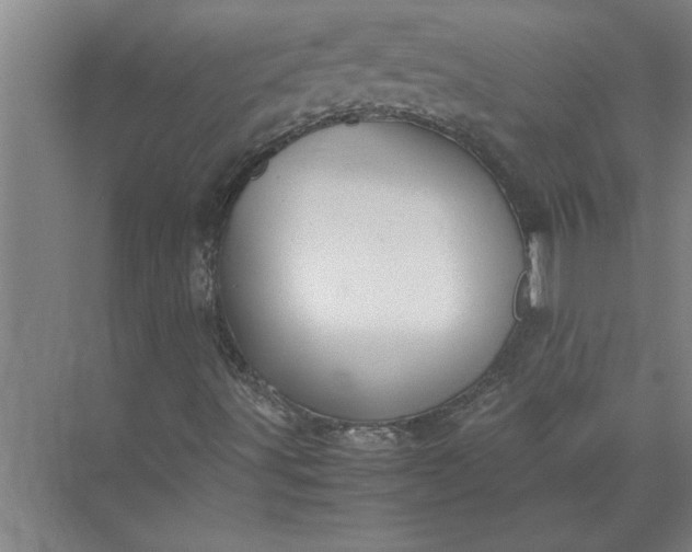 X0000072521491200607290144