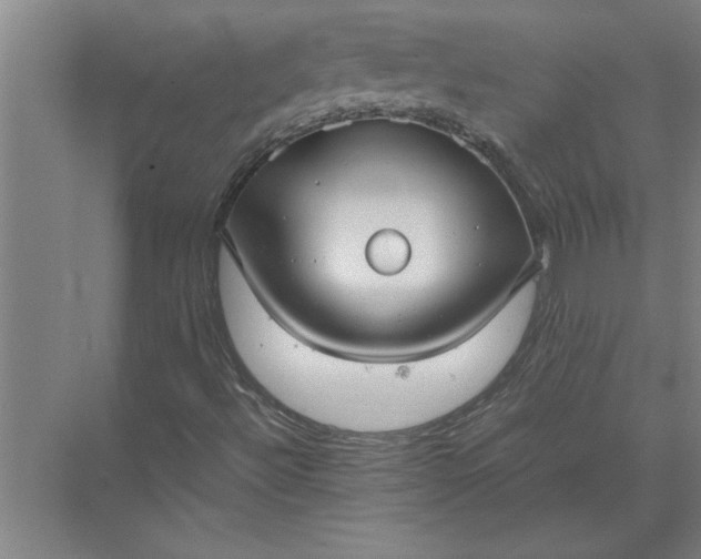 X0000072521492200607290144