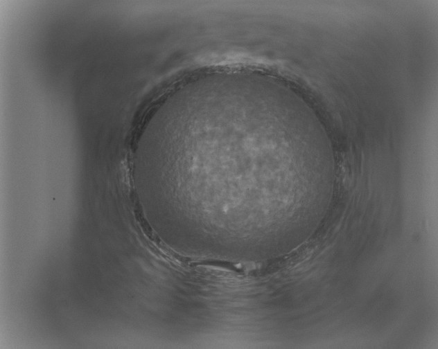 X0000072521493200607290144