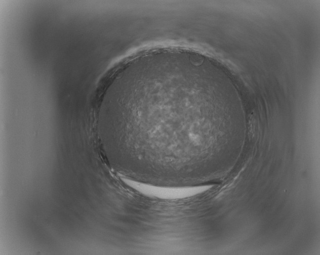 X0000072521494200607290144