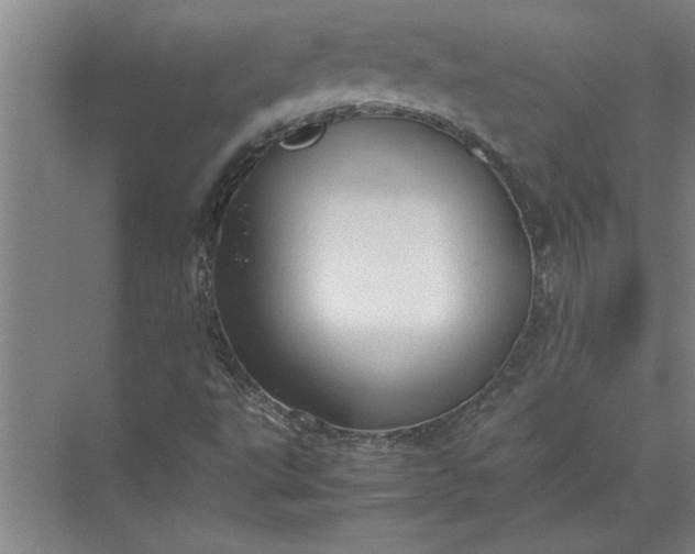 X0000072521495200607290144