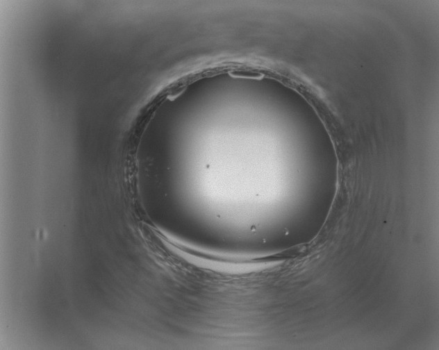 X0000072521496200607290144