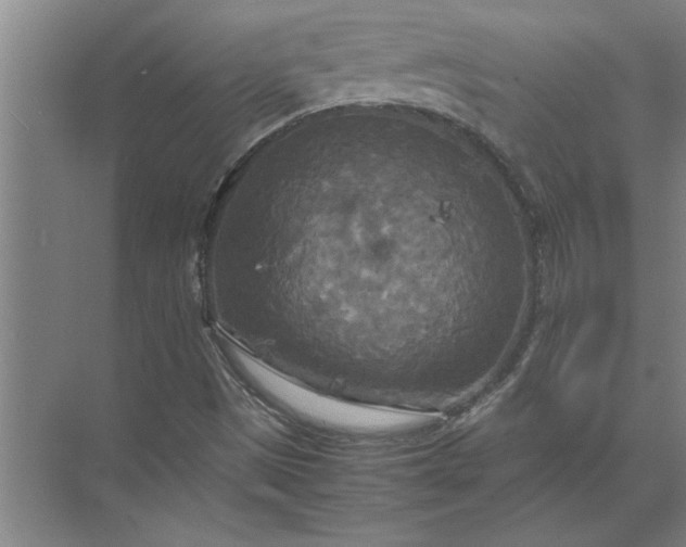 X0000072521497200607290144