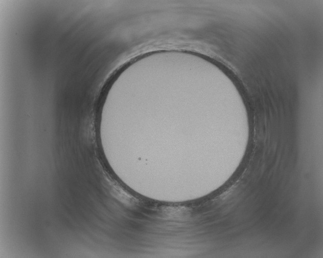 X0000072521498200607290144