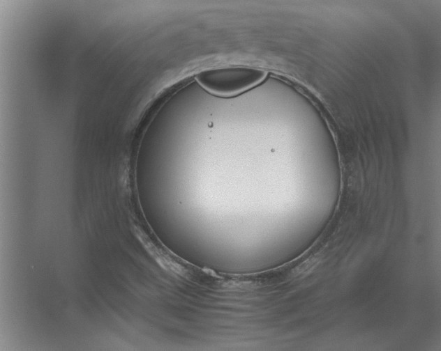 X0000072521499200607290145