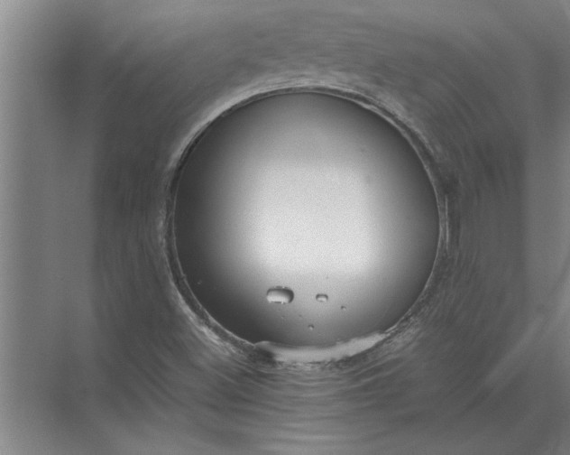 X0000072521500200607290145