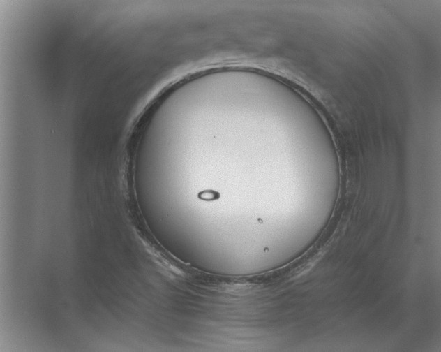 X0000072521502200607290145