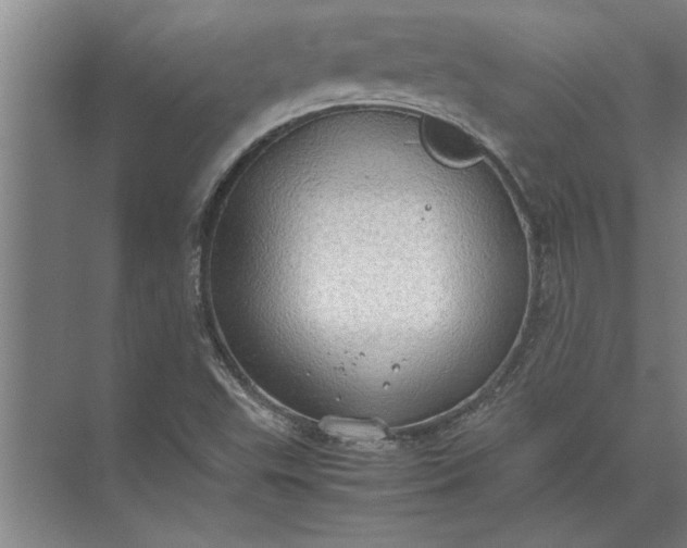 X0000072521503200607290145