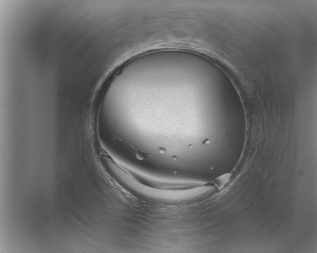 X0000072521506200607290145