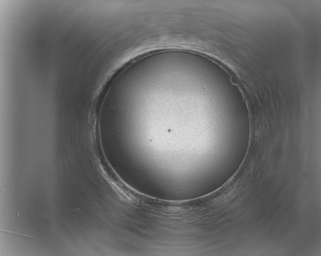 X0000072521507200607290145