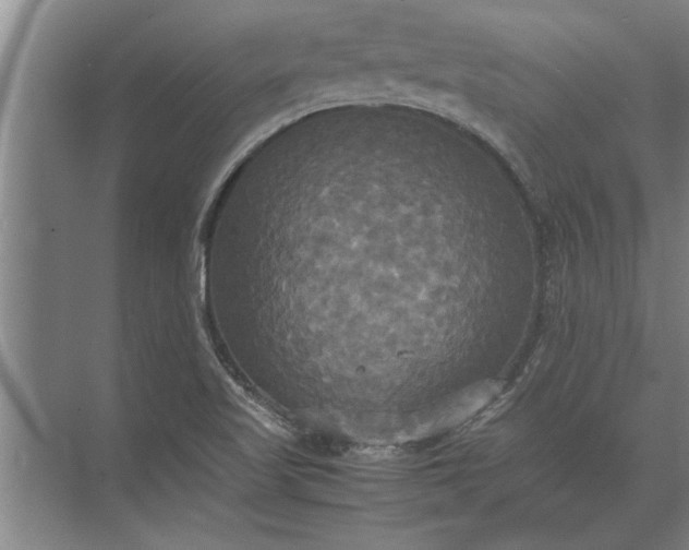 X0000072521509200607290145