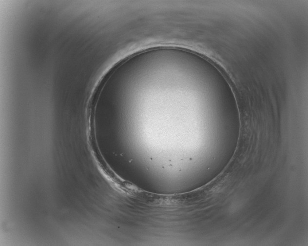 X0000072521511200607290145