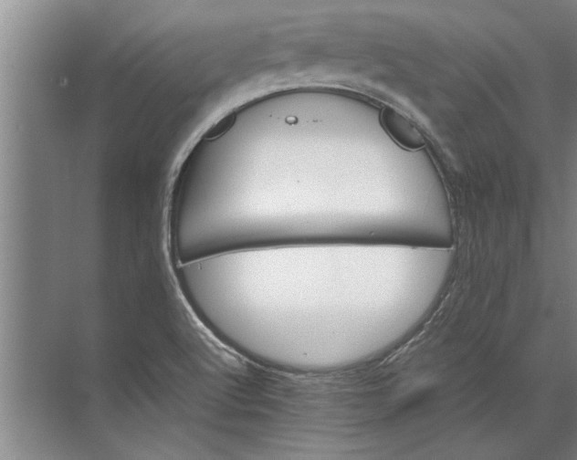 X0000072521512200607290145