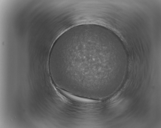 X0000072521513200607290145