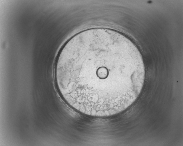 X0000072521514200607290145