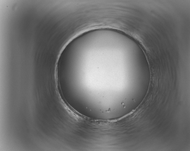 X0000072521516200607290145