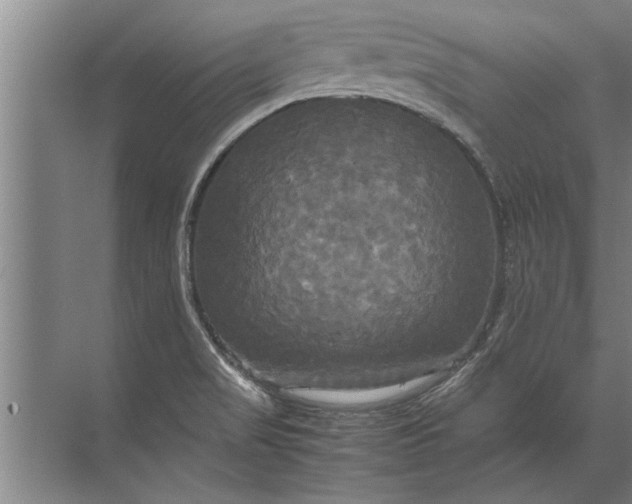 X0000072521517200607290145