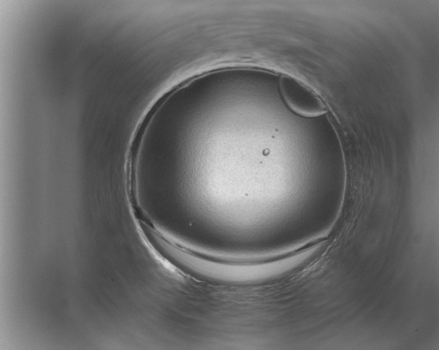 X0000072521519200607290145