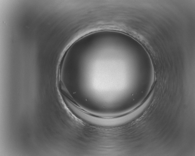 X0000072521520200607290145