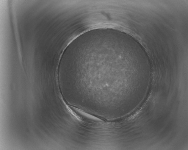 X0000072521521200607290145