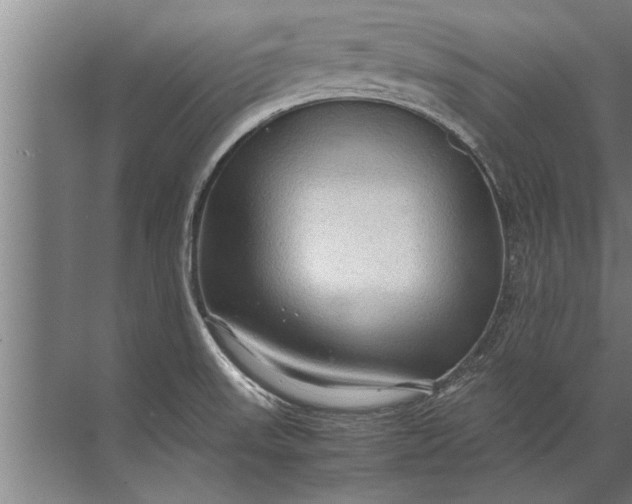 X0000072521523200607290145