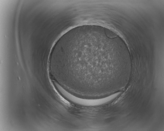 X0000072521525200607290145