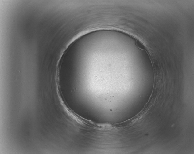 X0000072521526200607290145