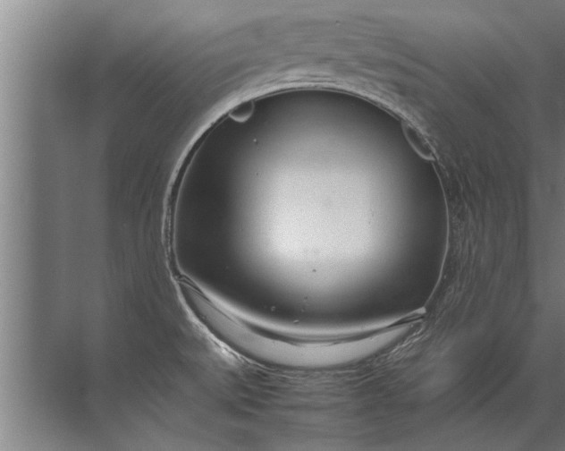 X0000072521527200607290145