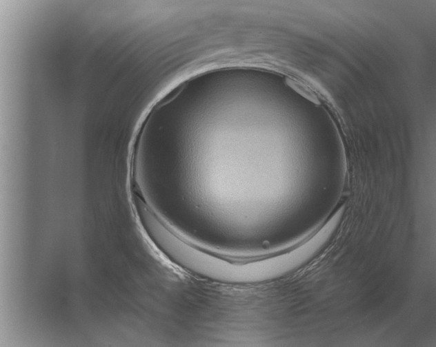 X0000072521528200607290145