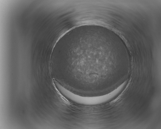 X0000072521529200607290145