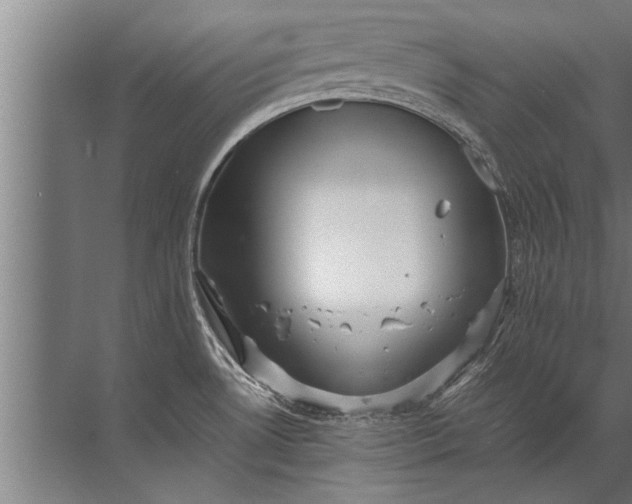 X0000072521530200607290145