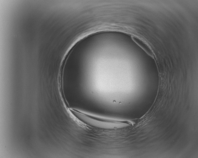 X0000072521531200607290145