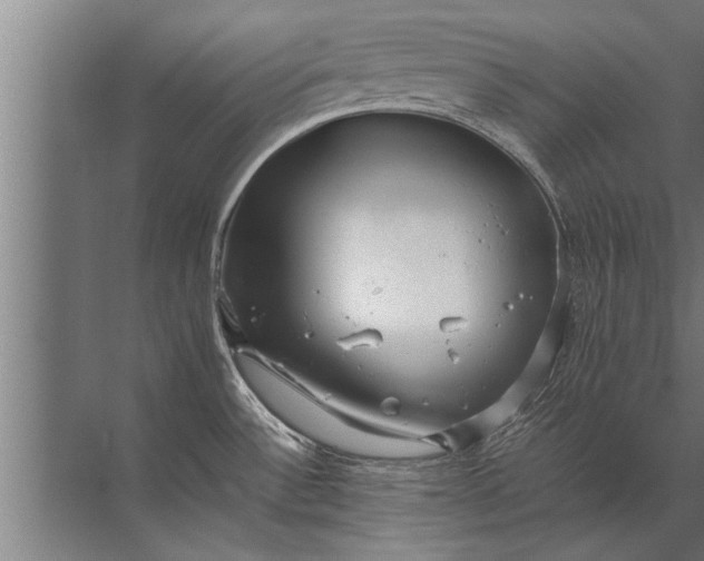 X0000072521532200607290145