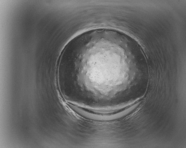 X0000072521534200607290145