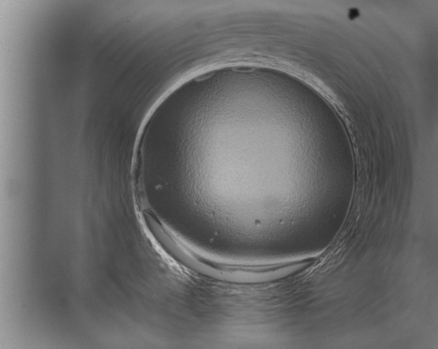 X0000072521536200607290145