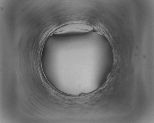 X0000072520001200608041544