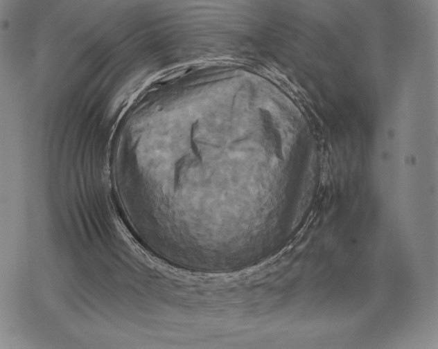 X0000072520002200608041544