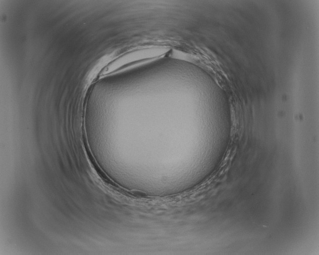 X0000072520003200608041544