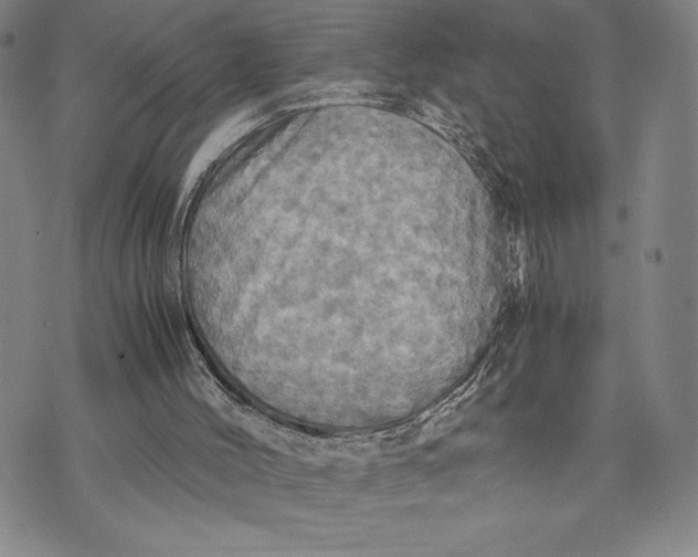 X0000072520004200608041544