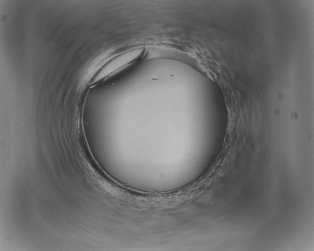 X0000072520005200608041544