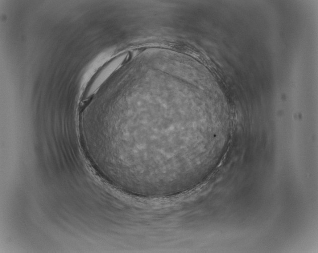 X0000072520006200608041544