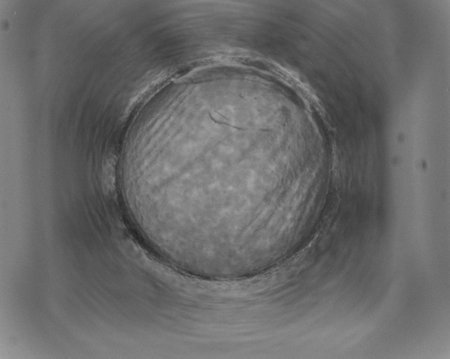 X0000072520010200608041543